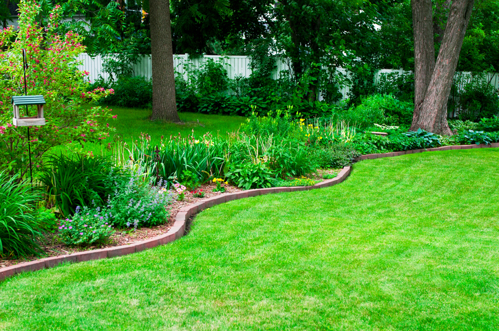 beautiful green garden