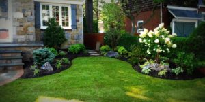 beautiful garden