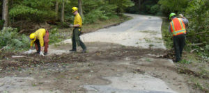 restoration services
