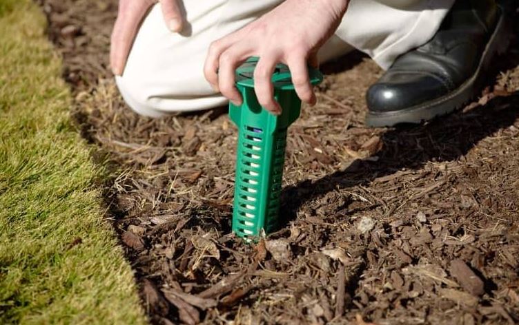termite bait system